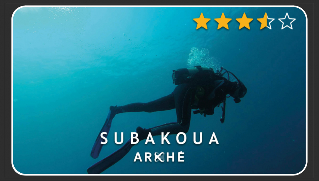 Jeu d'entreprise Subakoua